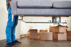 Moving Professionals in Auckland
